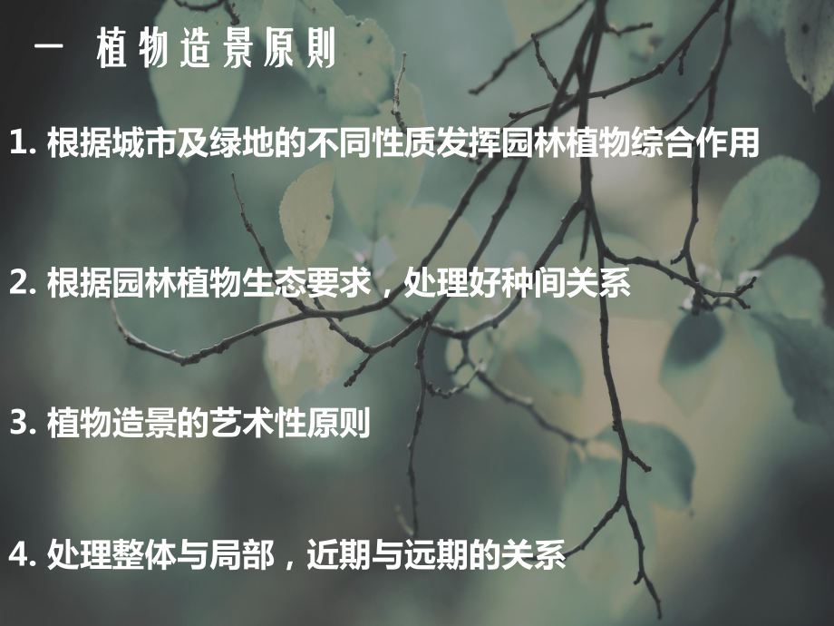 植物景观配置分析课件.ppt_第3页