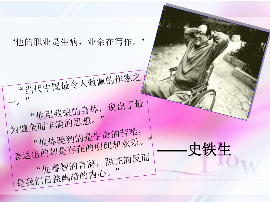 《合欢树》分析课件.ppt_第3页