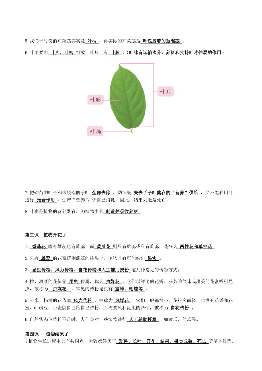 2022新苏教版三年级下册科学知识及实验操作.docx_第3页