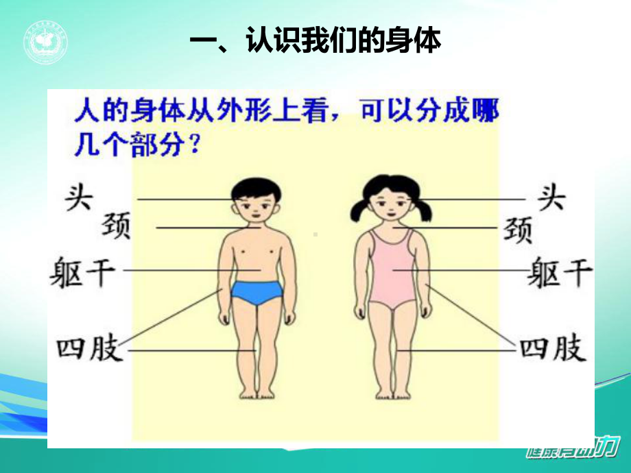 小学生生理卫生班会课件.ppt_第2页