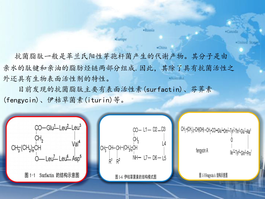 抗菌肽研究进展课件.ppt_第2页