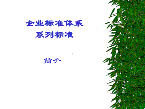 企业标准体系系列标准要求(精)课件.ppt