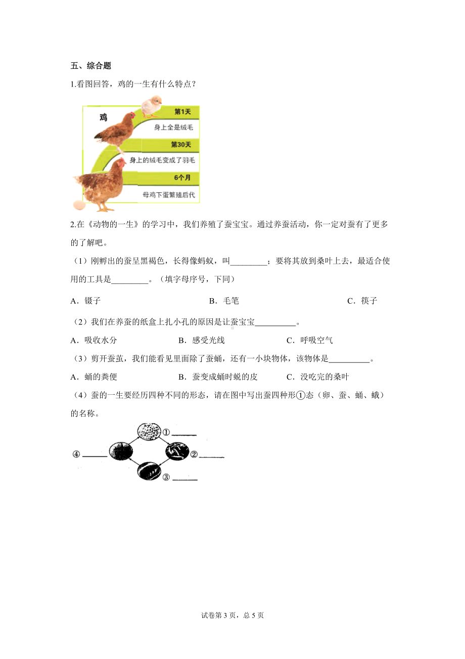 2022新教科版三年级下册科学 期末综合复习 第二单元测试题（word版 含答案）.docx_第3页