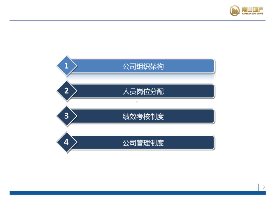 某某区域管理公司运营模式及管理制度大全课件.pptx_第3页