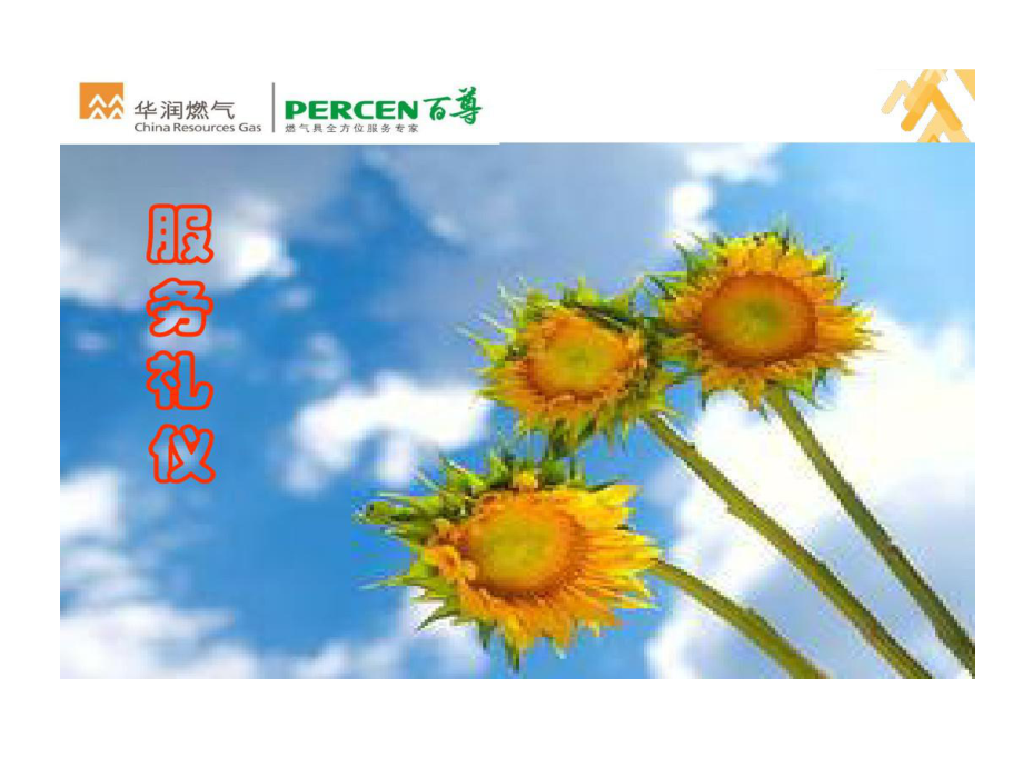 某某华润燃气公司服务礼仪的资料87页PPT课件.ppt_第2页