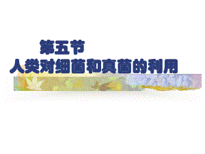 人类对细菌和真菌的利用PPT[1]课件.ppt