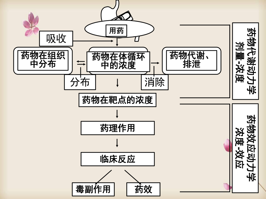 药物代谢动力学—药物跨膜转运方式的特点和原理课件.ppt_第3页