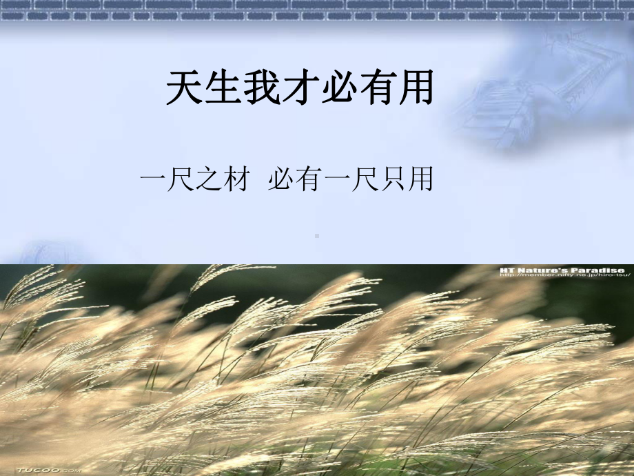 生命密码是人生的第一密码(九型人格培训资料)课件.ppt_第3页