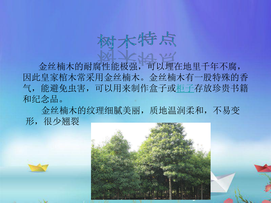 树木的种类分析课件.ppt_第3页