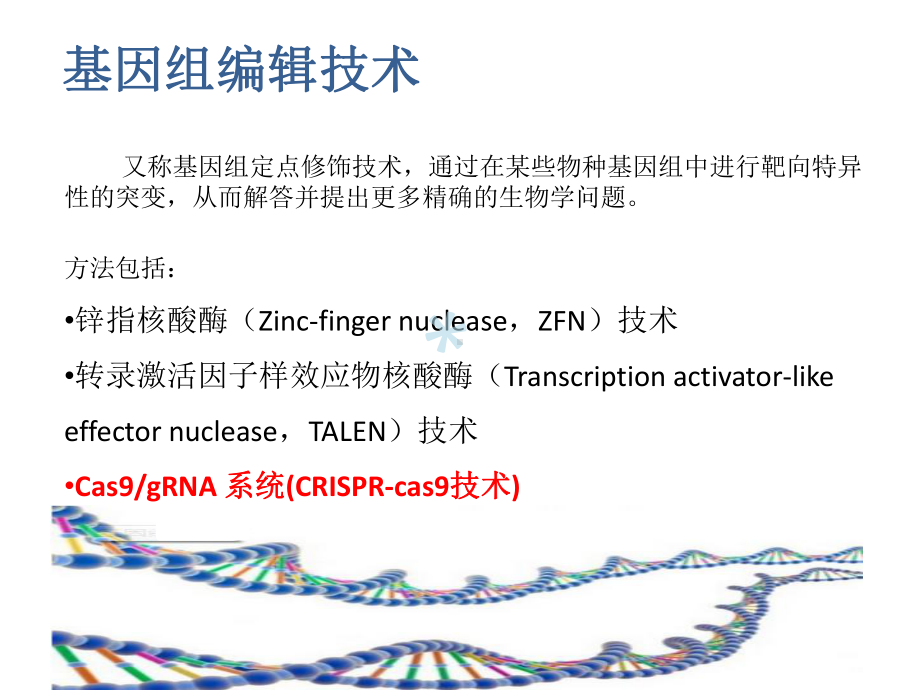 基因编辑方法CRISPR-Cas9课件.pptx_第2页