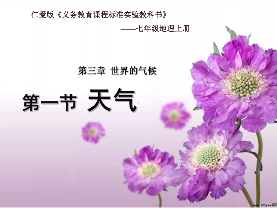 天气说课稿课件.ppt_第1页