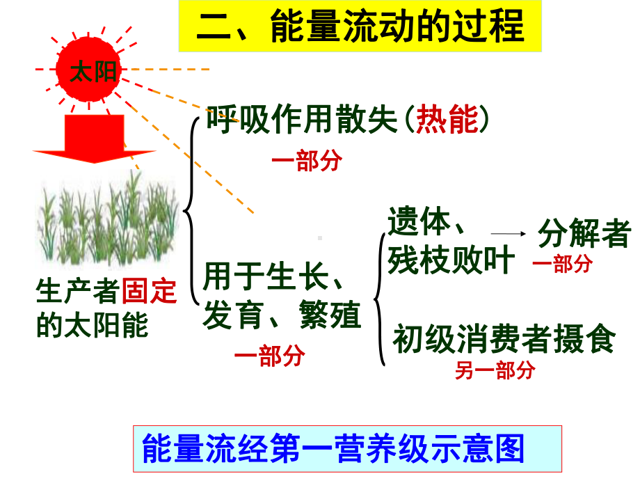 一轮复习-能量流动和物质循环课件.ppt_第3页