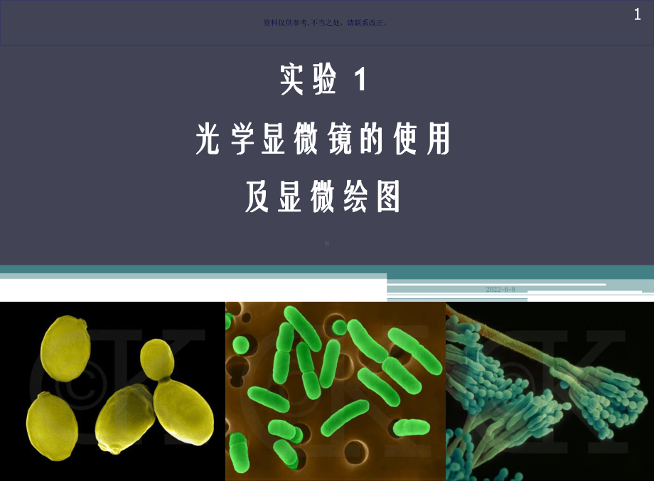 光学显微镜的使用及显微绘图课件.ppt_第1页