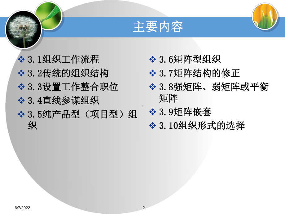 第三章组织结构共42页文档课件.ppt_第2页