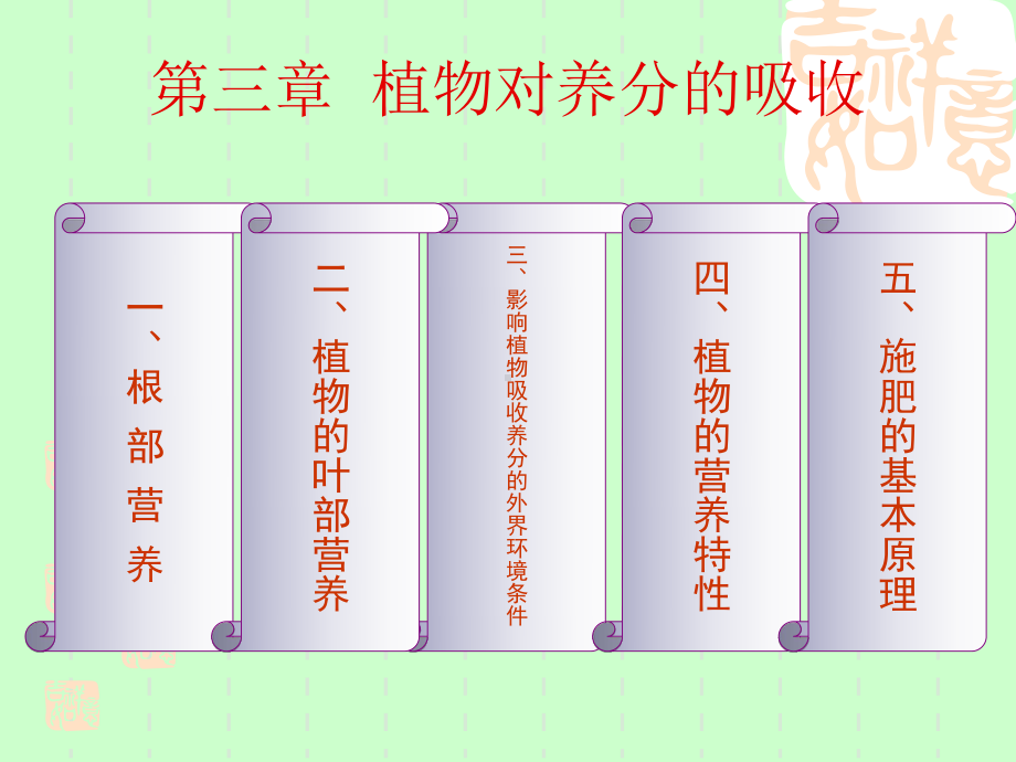 根系养分吸收课件.ppt_第1页