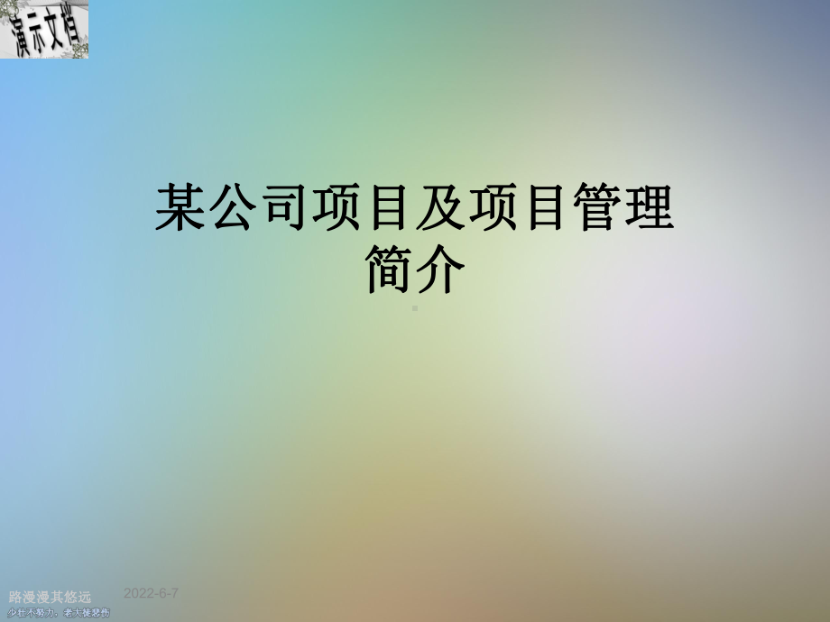 某公司项目及项目管理简介课件.ppt_第1页