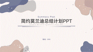 简约莫兰迪总结计划.pptx