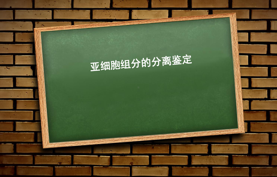 亚细胞组分分离鉴定课件.ppt_第1页