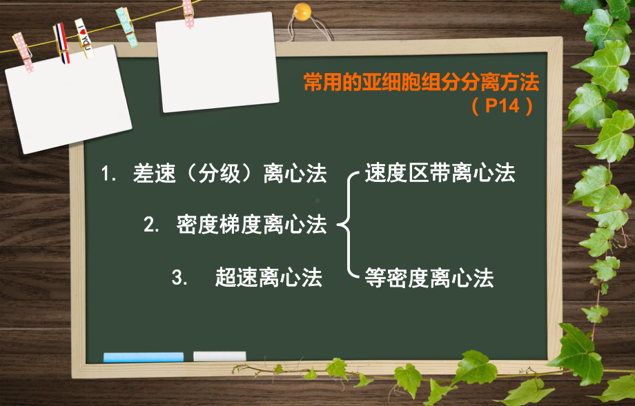 亚细胞组分分离鉴定课件.ppt_第2页