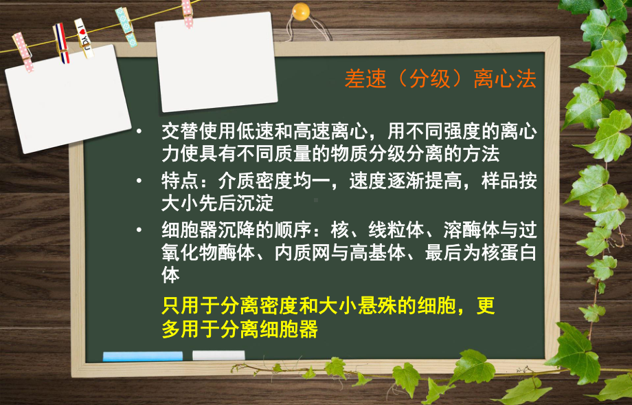 亚细胞组分分离鉴定课件.ppt_第3页