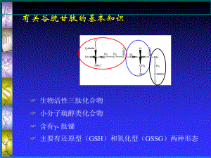 产朊假丝酵母发酵法生产谷胱甘肽研究课件.ppt