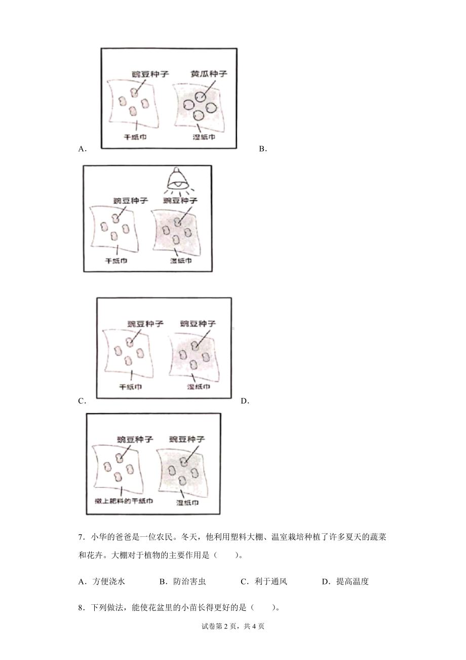 2022新湘科版三年级下册科学第五单元 植物的一生 过关训练（含答案）.docx_第2页