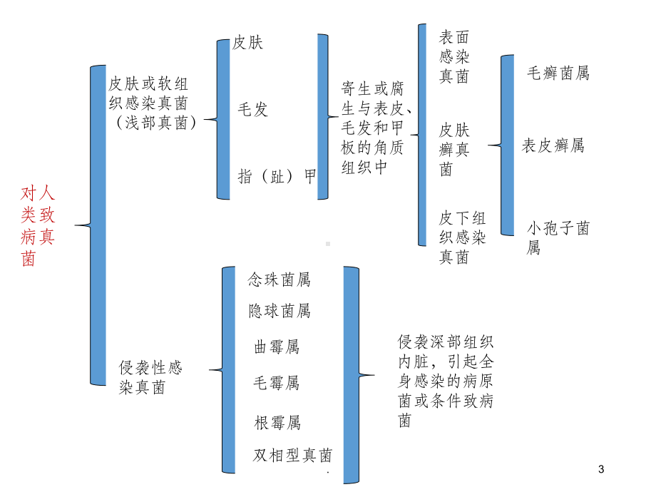 G试验GM试验课件.ppt_第3页