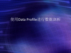 使用Data-Profile进行数据剖析课件.ppt