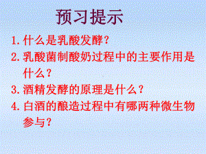 八年级生物下册发酵技术济南版课件.pptx