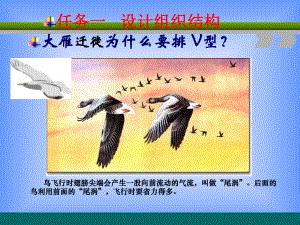 构建组织结构分析课件.ppt