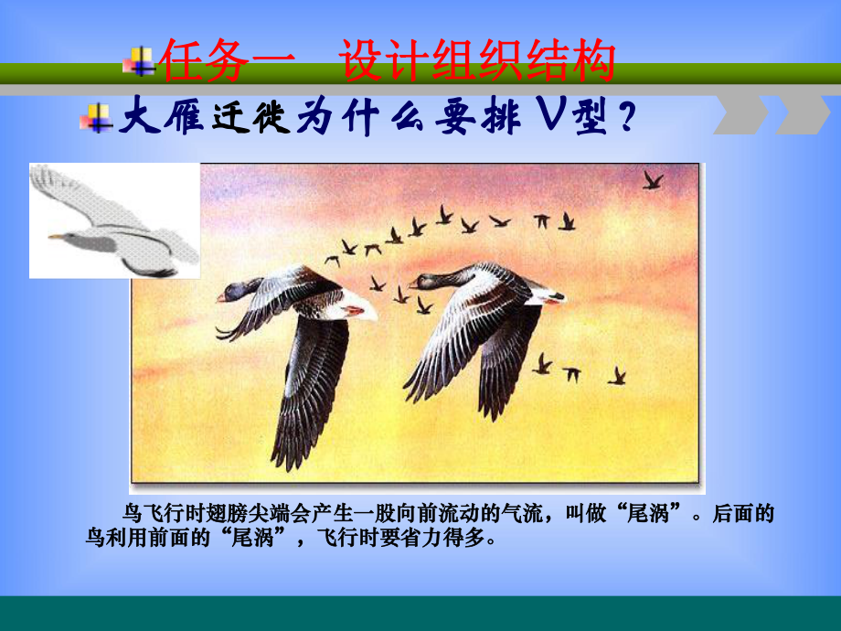 构建组织结构分析课件.ppt_第1页