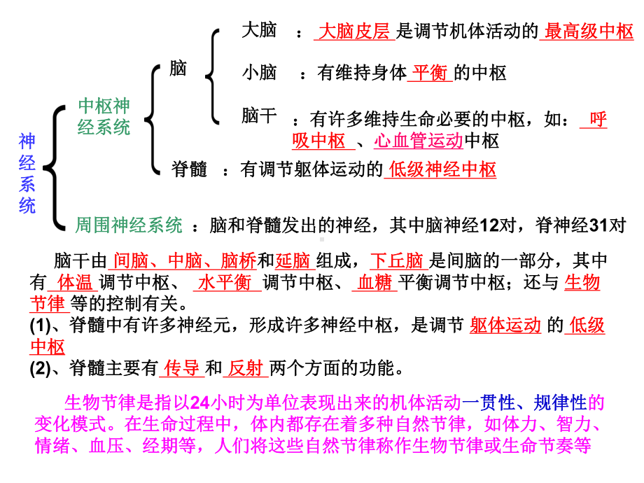 大脑的高级功能分析课件.ppt_第3页