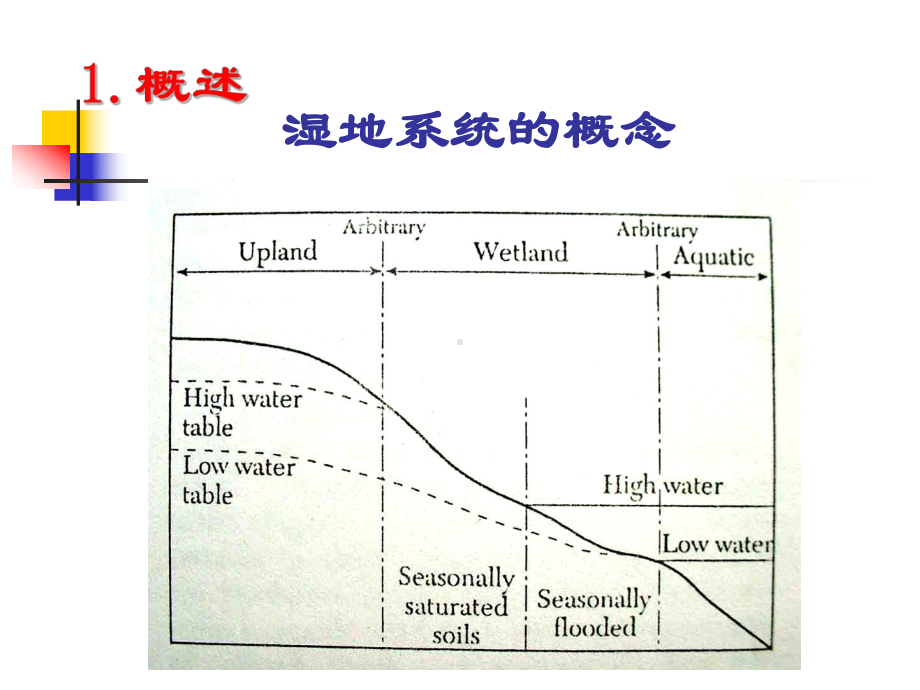 人工湿地处理系统资料讲解课件.ppt_第2页