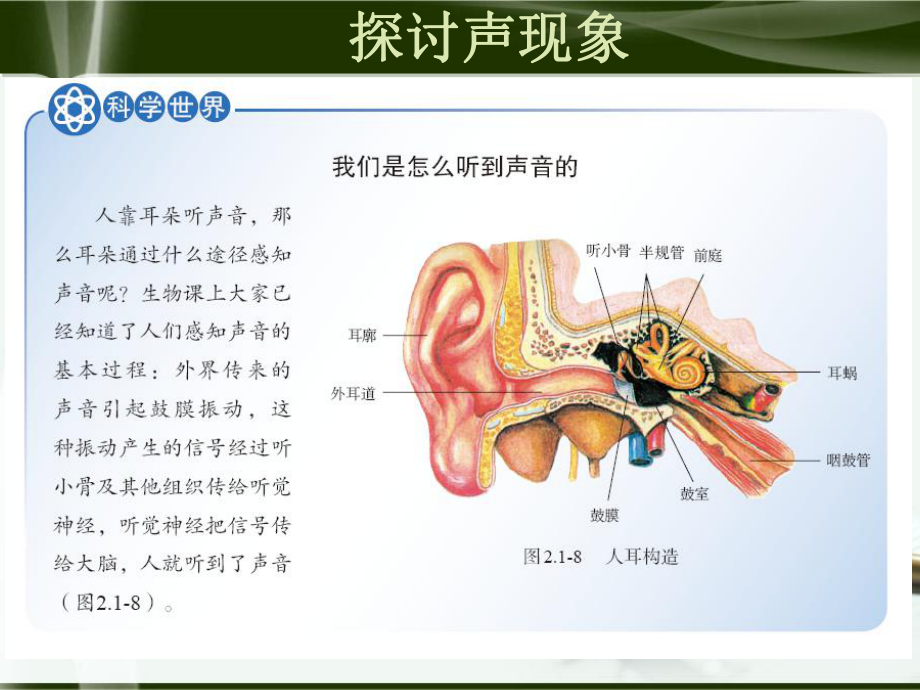 八年级上人教版物理新旧教材分析教材课件.ppt_第3页