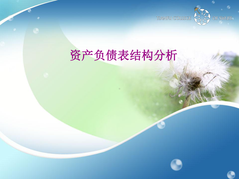 资产负债表结构分析课件.ppt_第1页