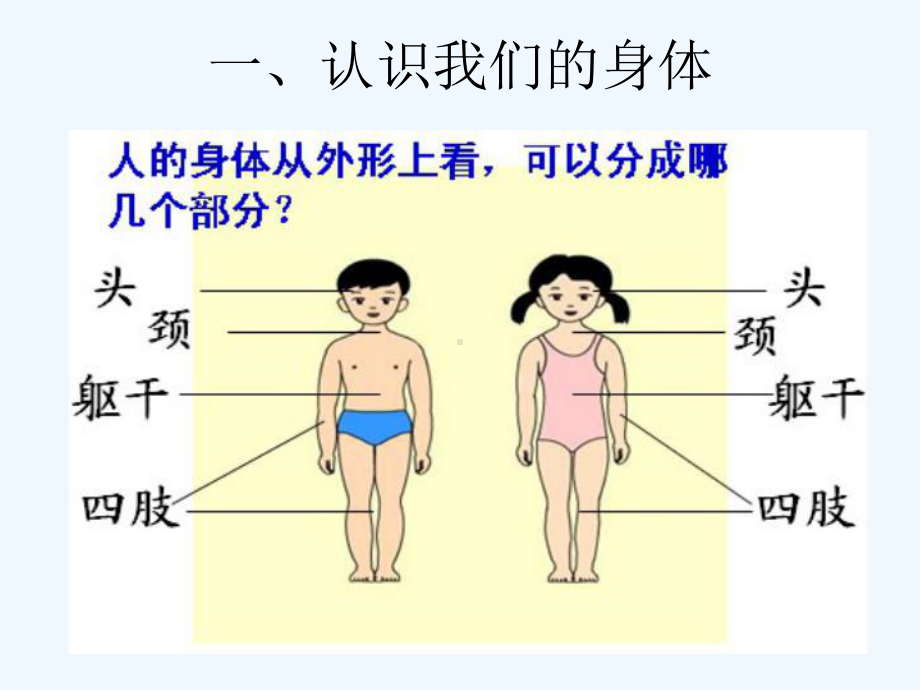 小学生生理卫生班会-PPT课件.ppt_第2页