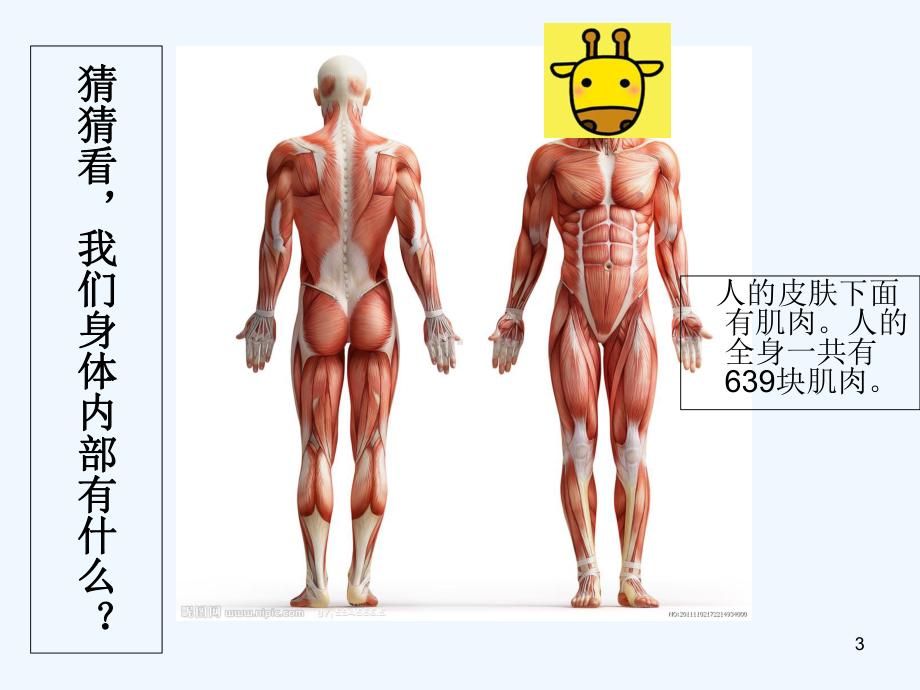 小学生生理卫生班会-PPT课件.ppt_第3页