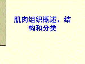 肌肉组织概述、结构和分类课件.ppt