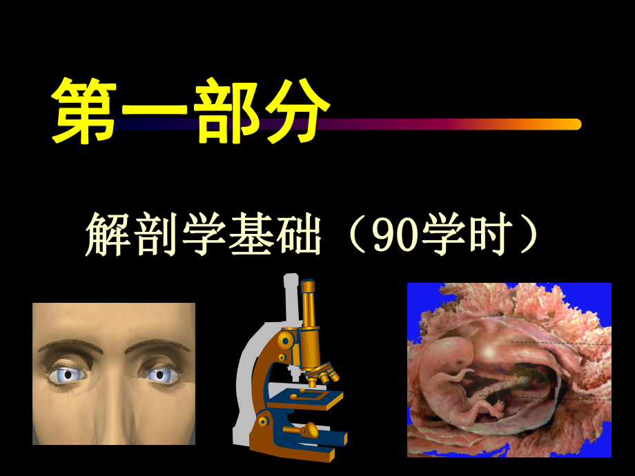 卫校概述解剖学基础课件.ppt_第1页