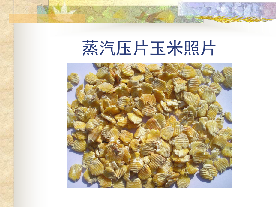 (含蒸汽压片玉米奶牛精料).课件.ppt_第3页