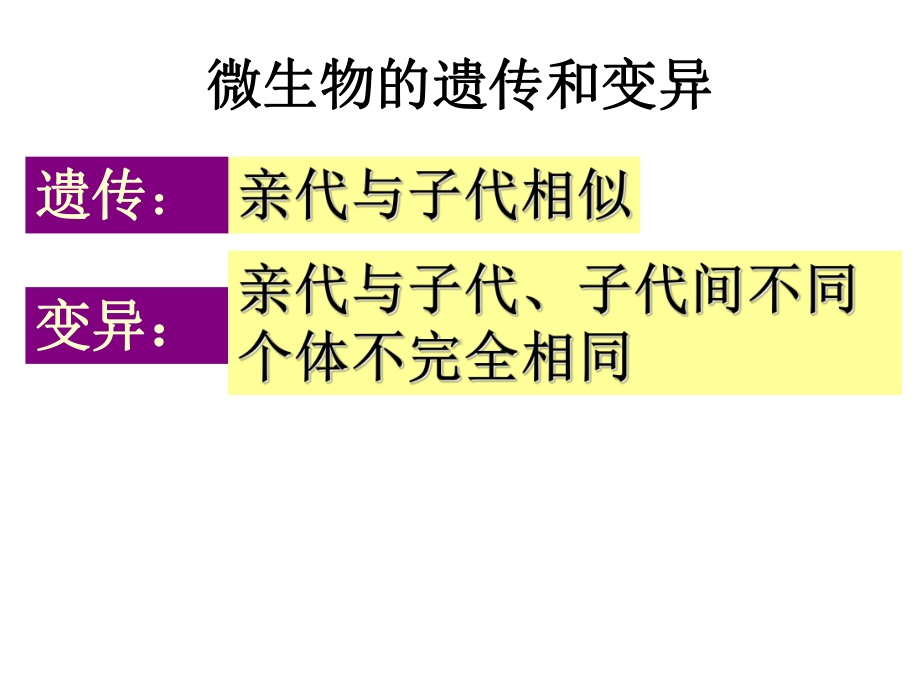 微生物-接种、分离纯化与培养课件.ppt_第3页