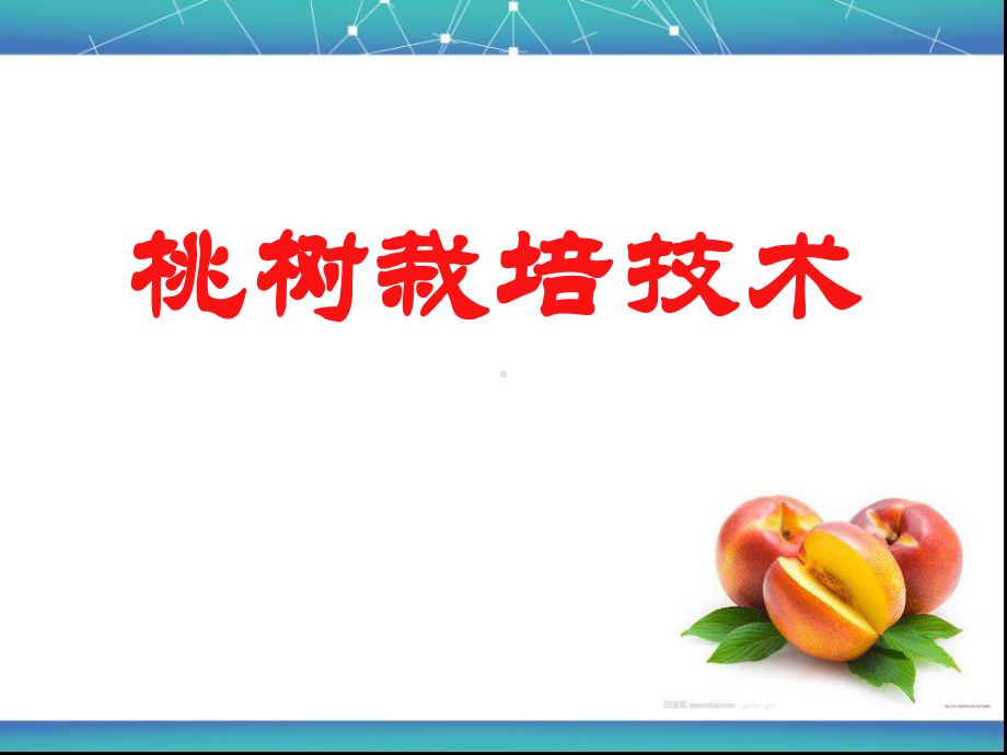 桃树栽培技术分析课件.ppt_第1页