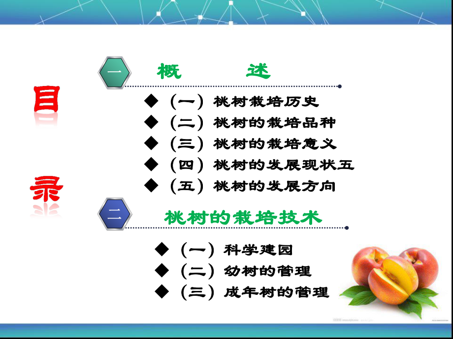 桃树栽培技术分析课件.ppt_第2页