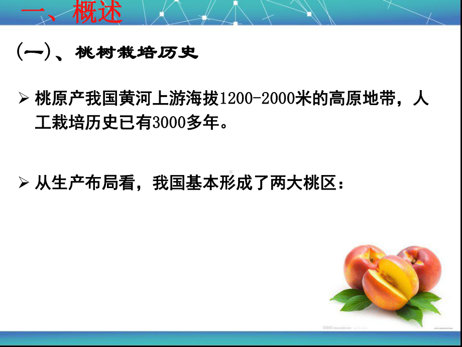 桃树栽培技术分析课件.ppt_第3页