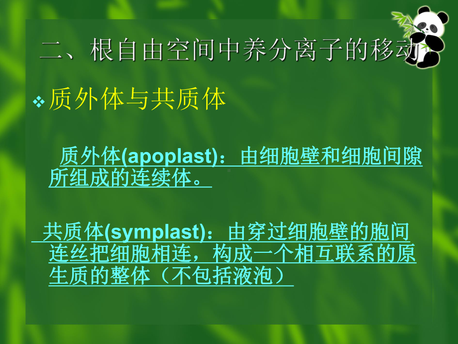 （PPT）植物对养分的吸收.课件.ppt_第3页