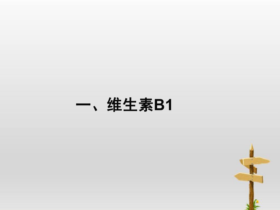 硫胺素类型、结构、性质和来源课件.ppt_第2页