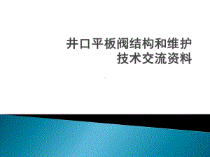 井口平板阀结构课件.ppt