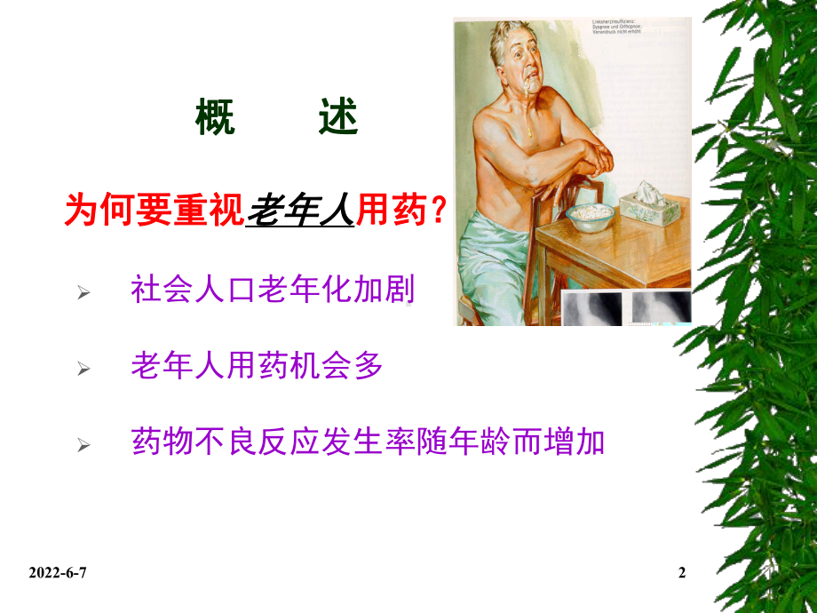 老年人合理用药原则和方法课件.ppt_第2页