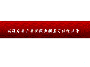 农业产业化服务联盟可行性报告分析课件.ppt