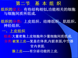 人体各主要部分的解剖基本组织课件.ppt